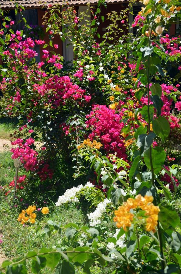 Arya Homestay Bougain Villa Gokarna  Exteriör bild